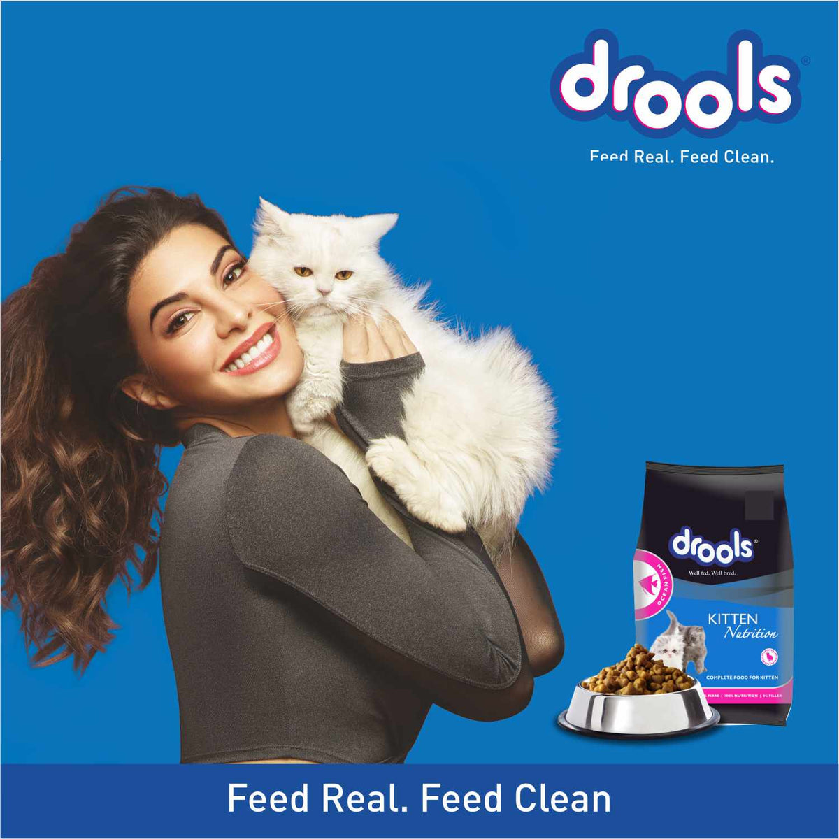 Drools Ocean Fish Kitten Dry Food